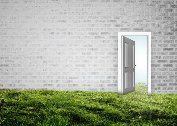 Открытая дверь на стене на траве — стоковое фото