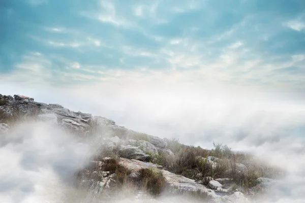 Misty landscape — Stock Photo, Image