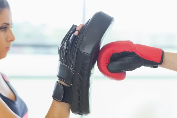 Nahaufnahme einer entschlossenen Boxerin, die sich auf ihr Training konzentriert — Stockfoto