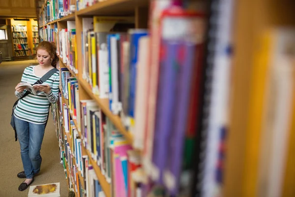 Focused student reading book leaning on shelf in library — Stock Photo, Image