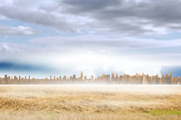 Grande cidade no horizonte — Fotografia de Stock