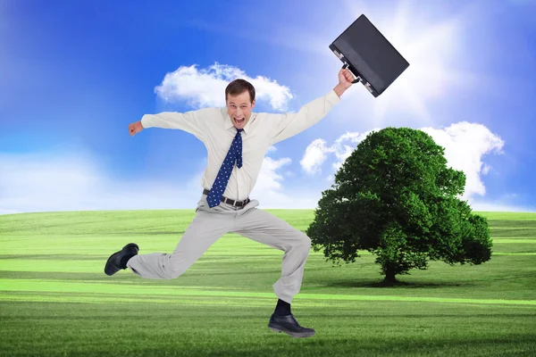 Businessman with his suitcase — Stock Photo, Image