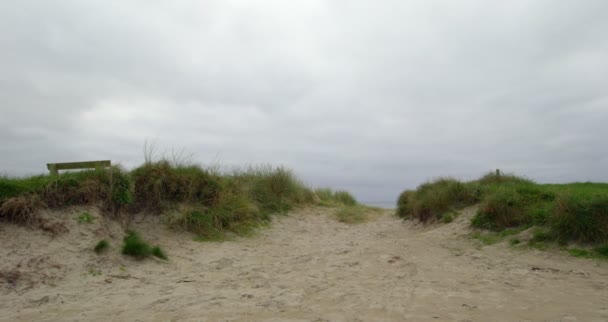 宁静的孤立的海滩场景 — 图库视频影像