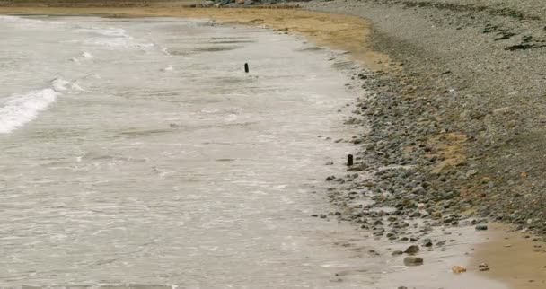 海の小石の多いビーチやって来る — ストック動画