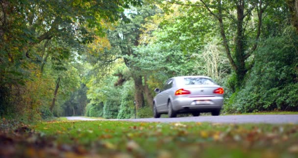 Car driving down a road surrounded by forest — Stock Video