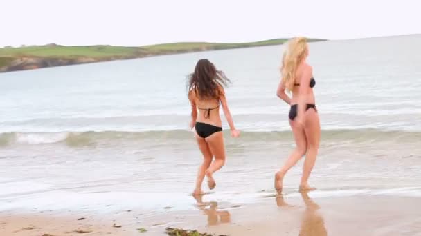 Twee vrienden lopen in en uit het koude water — Stockvideo