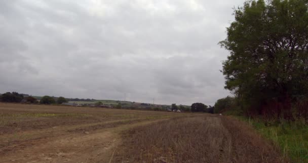 Campo de cultivo tranquilo — Vídeo de stock