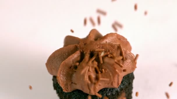 Chocolate sprinkles falling onto chocolate cupcake — Stock Video