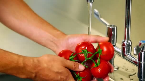 Hands washing tomatoes — Stock Video