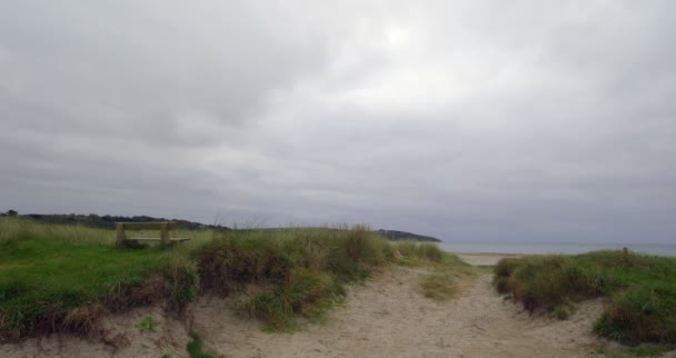 Dunes de sable tranquilles et isolées — Video