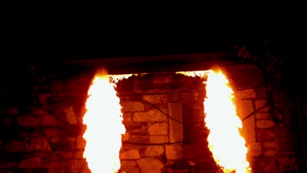 Fire dancer playing with fire in the dark — Stock Video