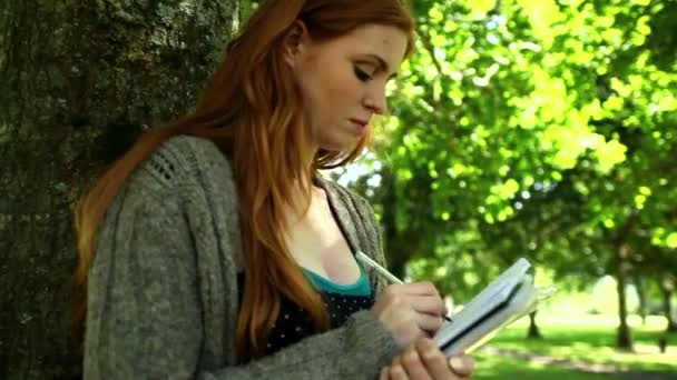Concentrated redhead doing assignments sitting on lawn — Stock Video