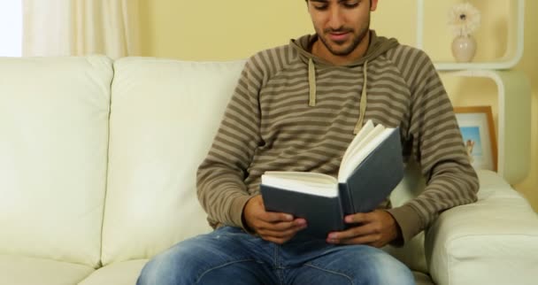 Homem lendo um livro enquanto sua linda namorada corre atrás dele no sofá — Vídeo de Stock