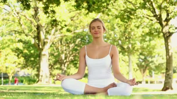 Blonde calme faisant du yoga dans le parc — Video