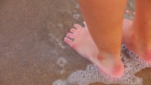 Womans feet standing and walking in the wet sand — Stock Video