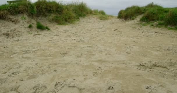 Dunes de sable isolées tranquilles — Video