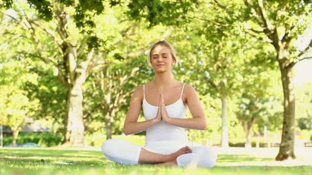 Zufriedene Blondine macht Yoga im Park — Stockvideo