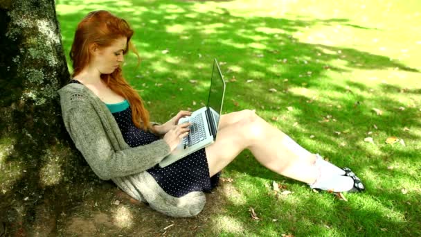 Gorgeous redhead typing on notebook leaning against tree — Stock Video