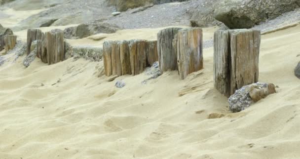 Postes de madera en la arena — Vídeo de stock