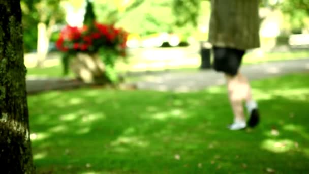 可爱的女人走过绿色公园 — 图库视频影像