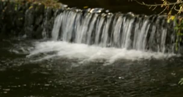 Water stroomt omlaag een waterval in een pool — Stockvideo