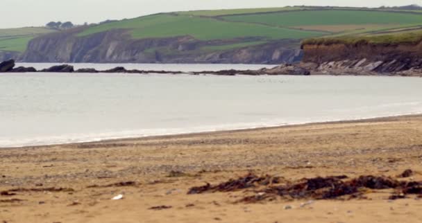 Tranquillo spiaggia scena — Video Stock