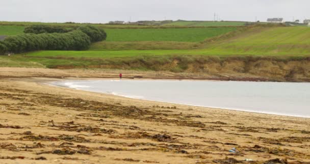 Panoramaaufnahme eines ruhigen, verlassenen Strandes — Stockvideo