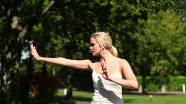 太極拳をやってかなりブロンドの女性 — ストック動画