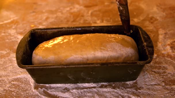 Minyak zaitun yang disikat di atas adonan dalam kaleng roti di atas meja yang subur — Stok Video