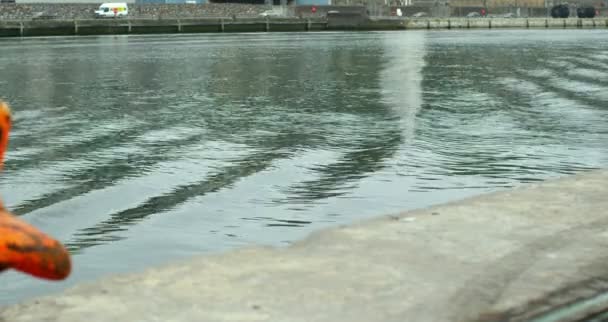 Viento haciendo ondulaciones en el agua — Vídeos de Stock