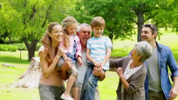 Родина багатьох поколінь позує і сміється на камеру в парку — стокове відео