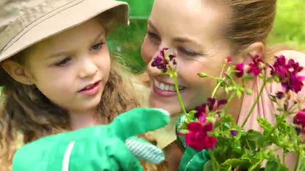 Söt liten flicka tittar på kruka med blommor med sin mor — Stockvideo