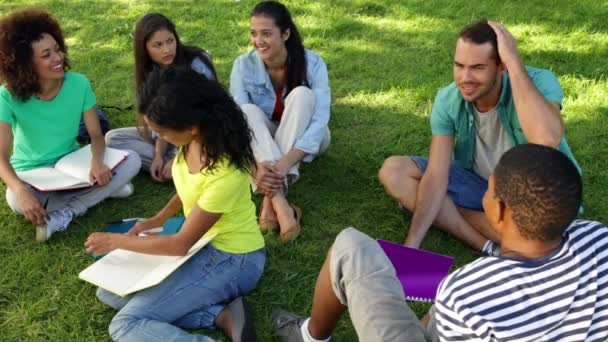 Estudantes conversando juntos lá fora no campus — Vídeo de Stock