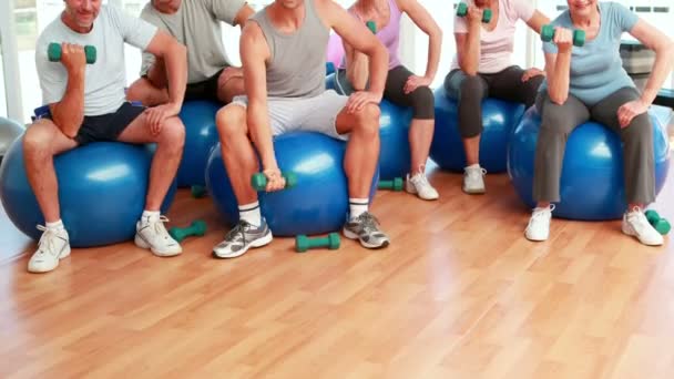 Fitness group sitting on exercise balls lifting hand weights — Stock Video