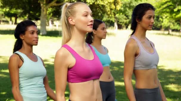 Fitness class lifting hand weights in unison — Stock Video