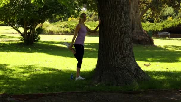 Corredor estirando sus piernas apoyadas contra el árbol — Vídeos de Stock