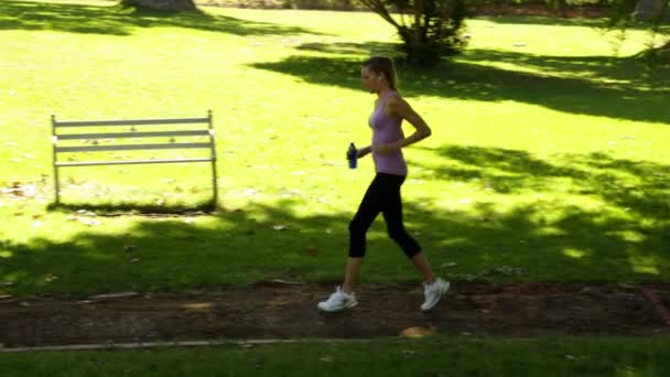 Coureur s'arrêtant pour s'étirer dans le parc — Video