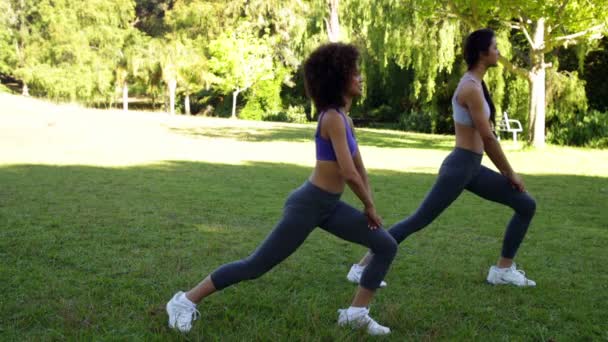 Passar vänner stretching benen i parken — Stockvideo