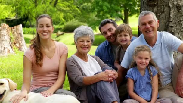 Famiglia allargata che sorride alla telecamera nel parco — Video Stock