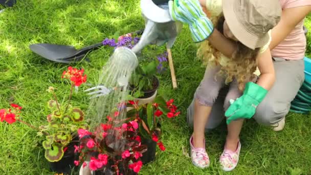 Милая маленькая девочка поливает цветы со своей матерью — стоковое видео