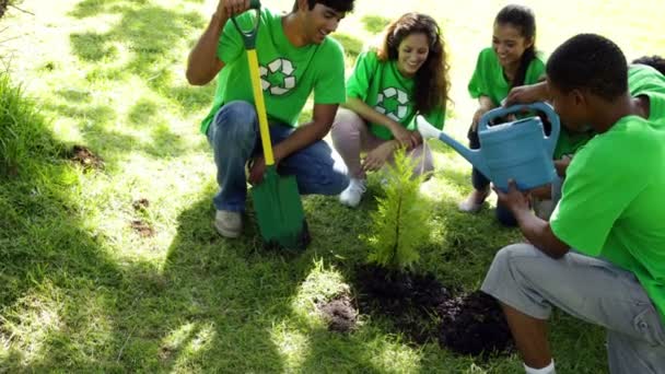 Activistas ambientales regando un nuevo árbol en el parque — Vídeo de stock