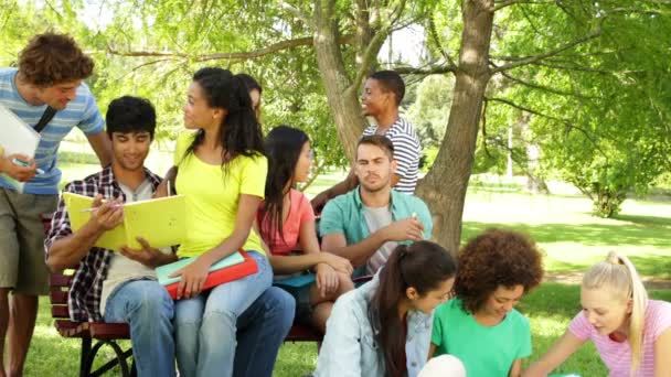 Students reading and chatting together outside on campus — Stock Video