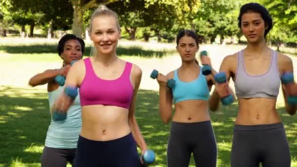 Fitness klasse ponsen met hand gewichten in unison — Stockvideo