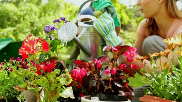 Niedliches Mädchen, das mit seiner Mutter Blumen gießt — Stockvideo