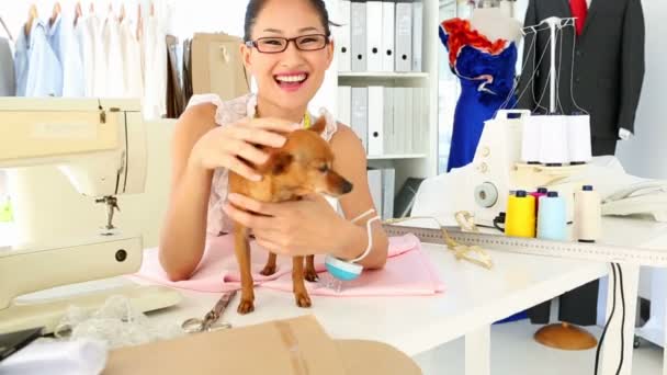 Bastante diseñador de moda acariciando su chihuahua — Vídeo de stock