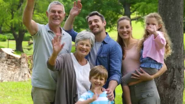 Família de várias gerações sorrindo e acenando para a câmera em um parque — Vídeo de Stock