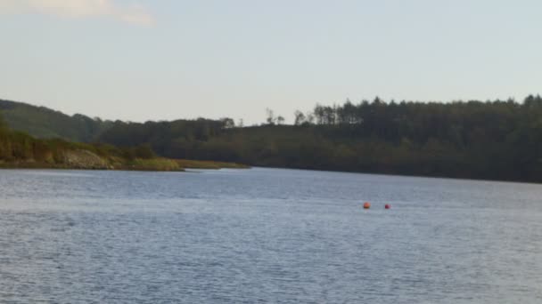 Lago circondato dalla campagna — Video Stock