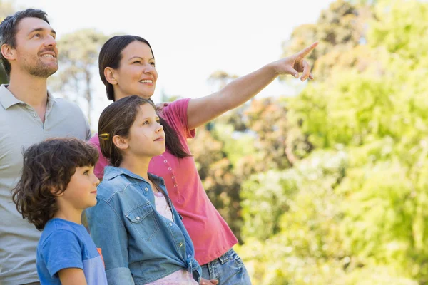 Famiglia di quattro persone al parco — Foto Stock