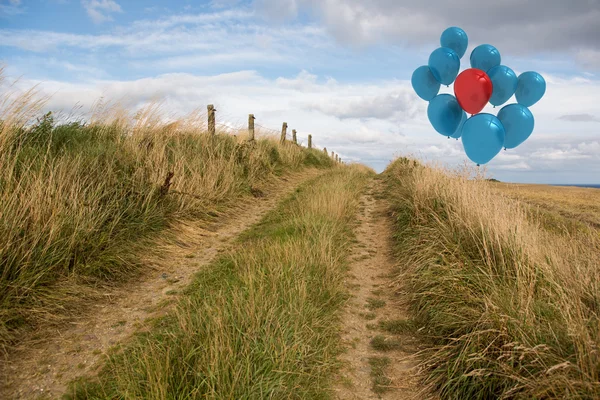 Globos sobre dunas de arena —  Fotos de Stock