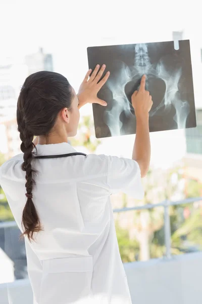 Vista trasera de una doctora examinando rayos X —  Fotos de Stock